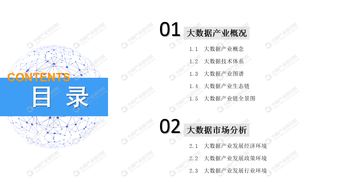 2019年中國大數據產業市場前景研究報告——應用軟件服務篇